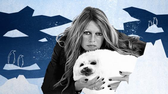 Brigitte Bardot : le serment fait aux animaux