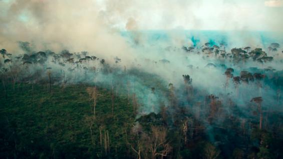 Le mystère des rivières volantes d'Amazonie