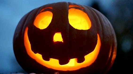La citrouille, moins courge qu'elle n'en a l'air